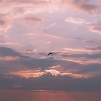 足球赌注软件app下载