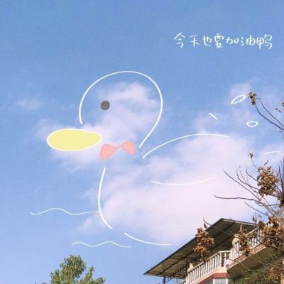 Bsport体育在线登录入口